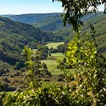 Апартаменты In